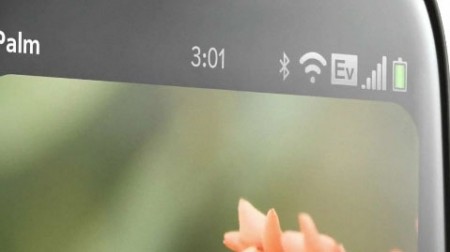 palm_01